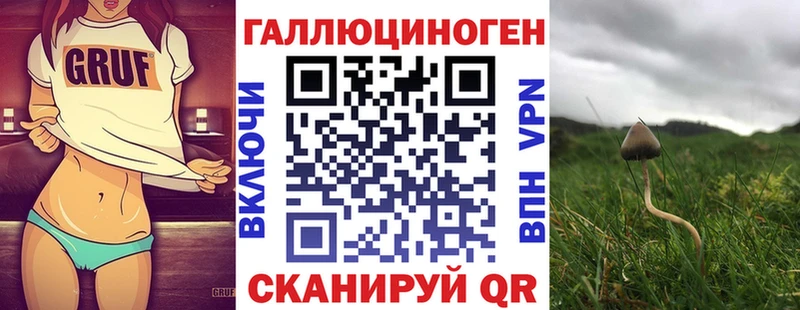 сколько стоит  Раменское  Галлюциногенные грибы мухоморы 