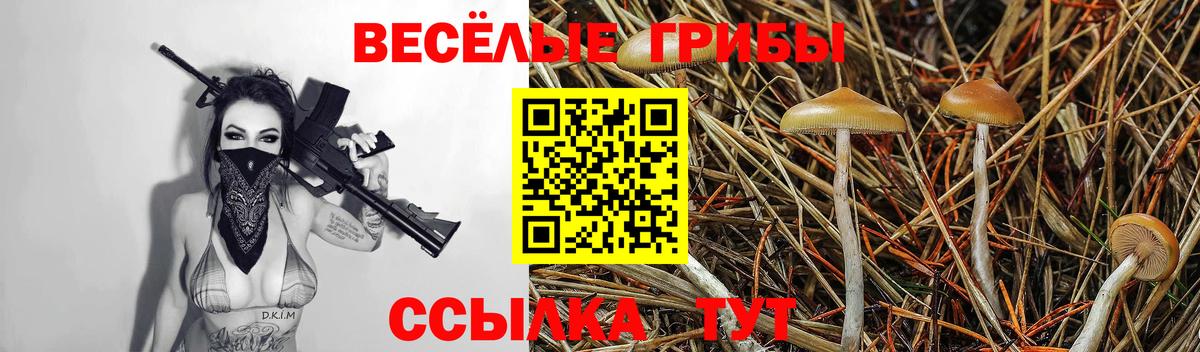 Псилоцибиновые грибы ЛСД  Вход с VPN  Раменское 